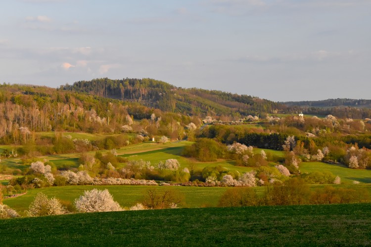 Rozkvitnutá jar