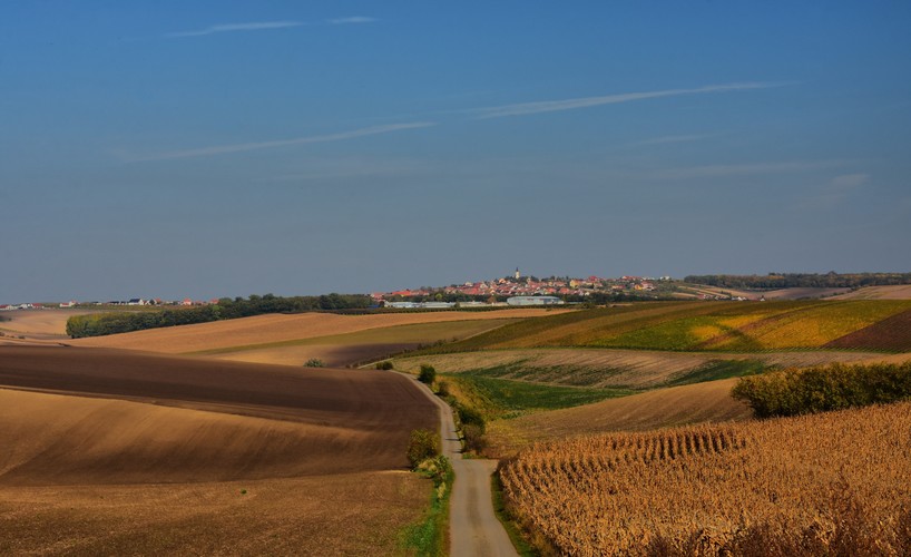 vinárska oblasť