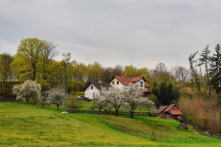 Rozkvitnutá jar