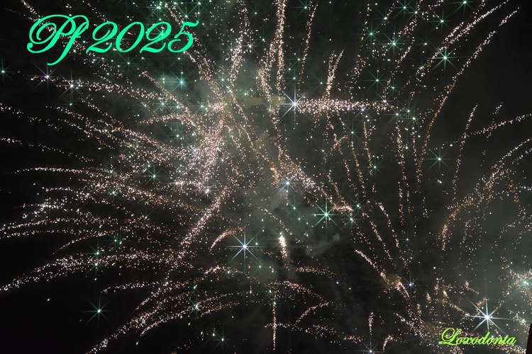 Veselý Silvester a šťastný nový rok 2025