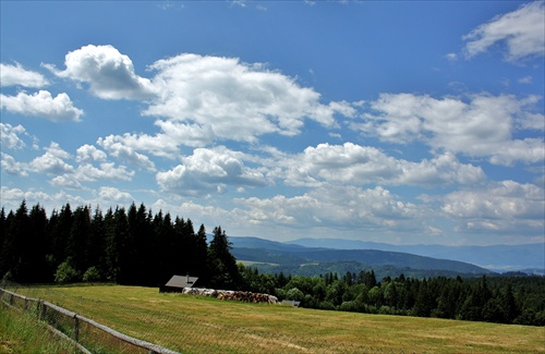 Predné Krížne