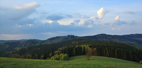 Čierno-Balocké lesy