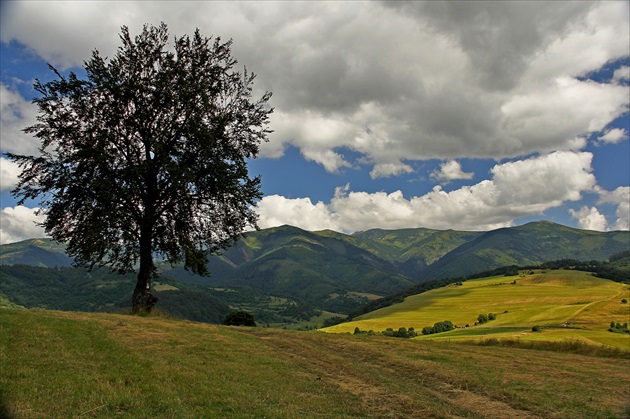 Letná spomienka