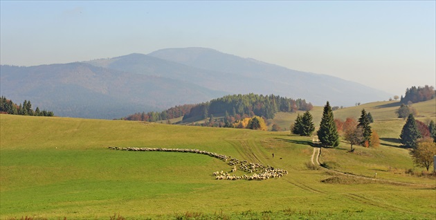 Návraty...