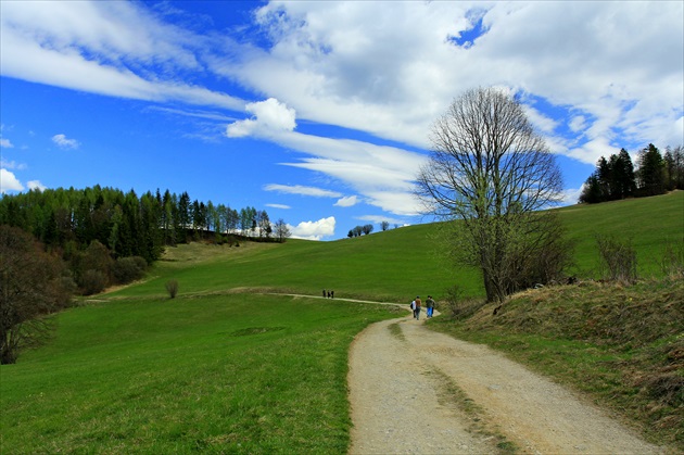 Cestičkou na Diel