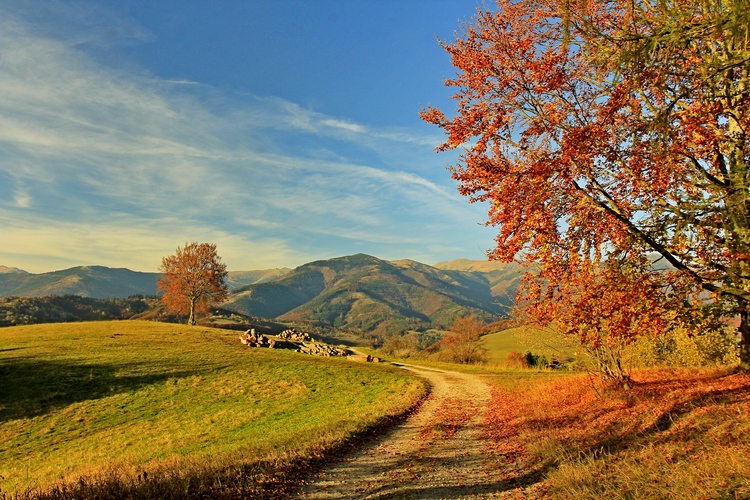 Jesenné popoludnie...