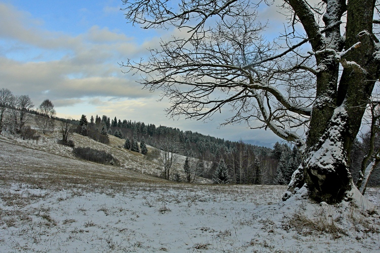 Na Krížnom...