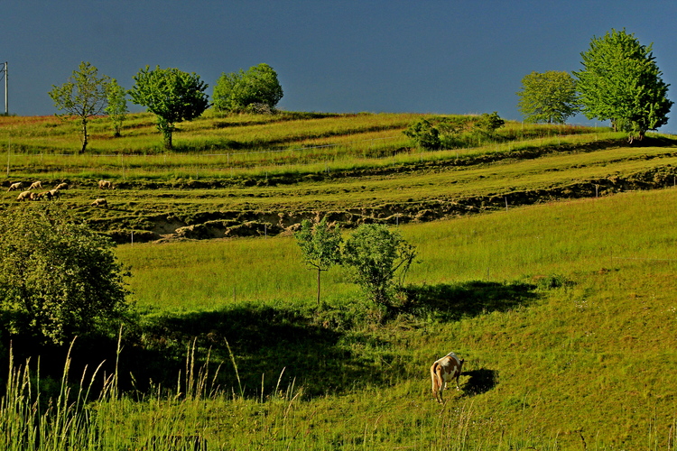 Hriňovské kopce