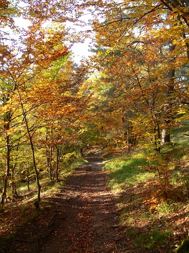 Cestou na uhrovec