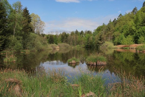 dnes bylo u rybnika zivo