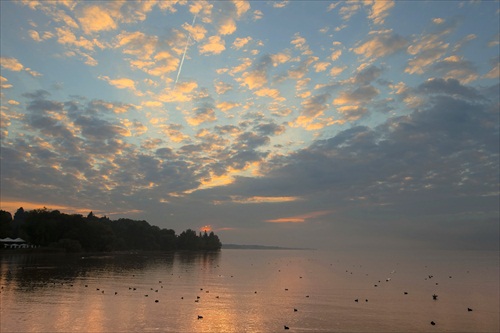 dnesni rano na Mainau