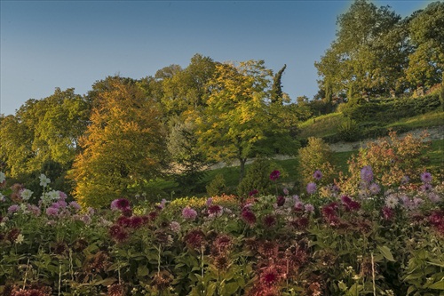 ostrov kvetin Mainau