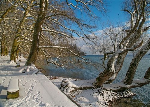 dnes na Mainau