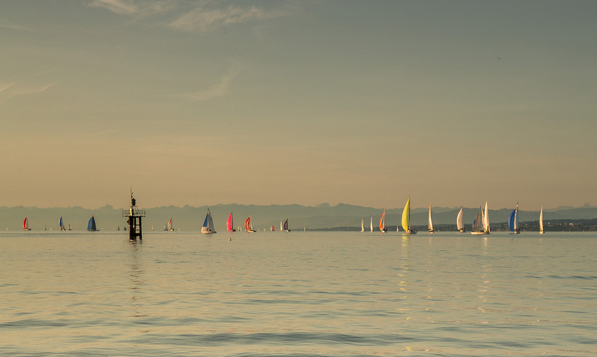 regata na Bodensee