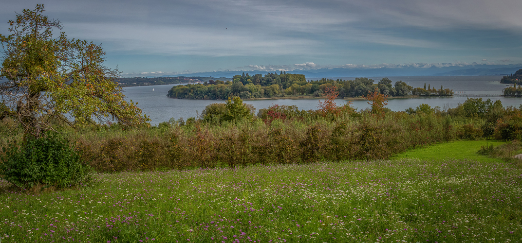 pohled na ostrov Mainau