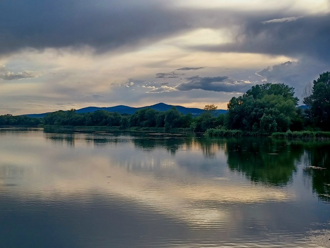 Doľany