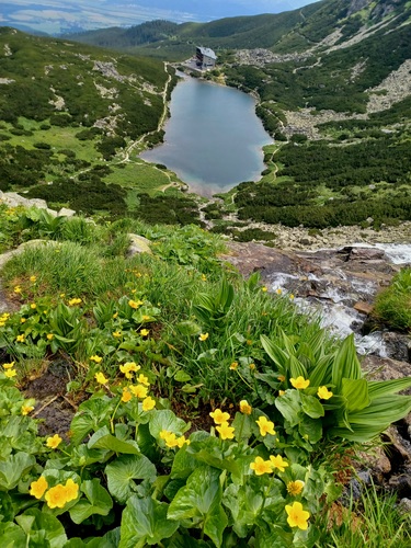 Vysoké Tatry