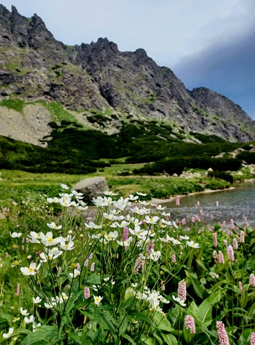 Vysoké Tatry