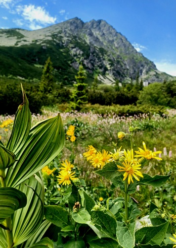 Vysoké Tatry