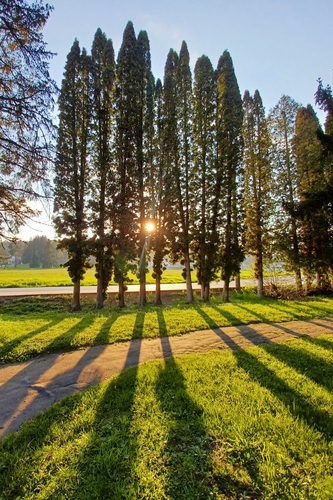 V žiari slnka