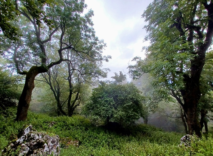 Malé Karpaty