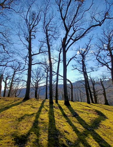 Malé Karpaty