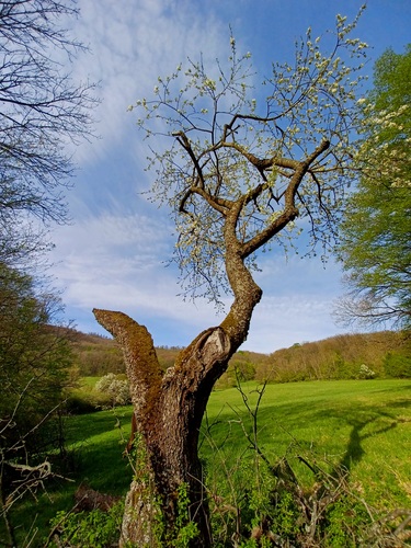 Malé Karpaty