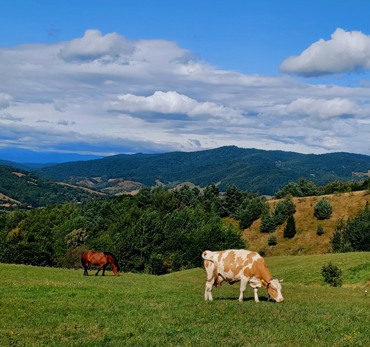 Banská Štiavnica