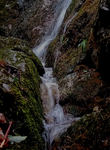 Hlboča