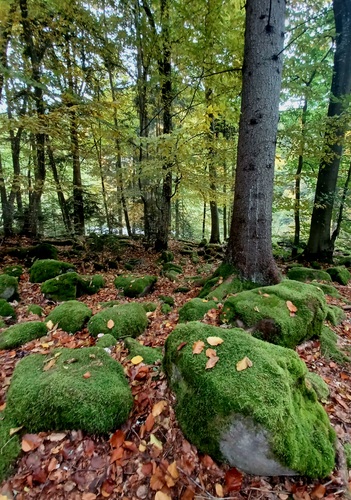 Malachovská dolina