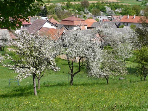 jar v Hornej Suci