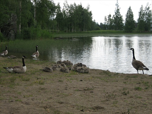 Fínsko,Heinola