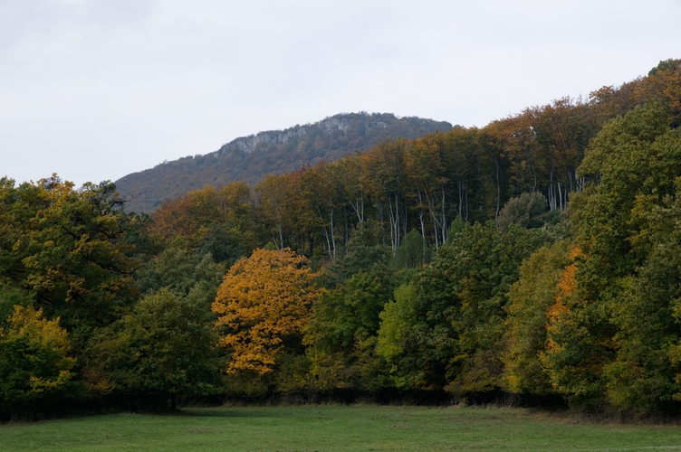 čierna sklala, karpaty