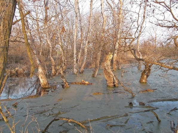 Podvečer pri vode