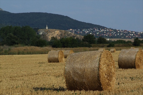 ...Drážovce..