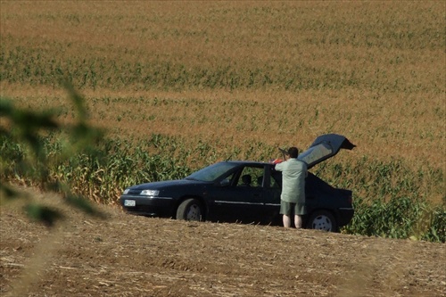 ...strelec...