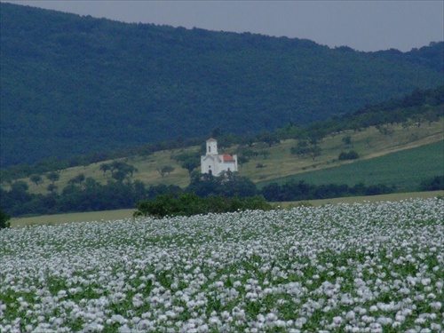 Kaplnka sv.Anny