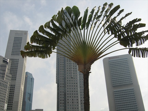 Singapur