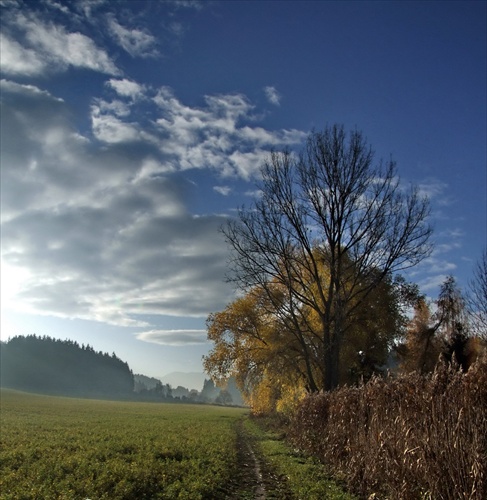 na cestičke