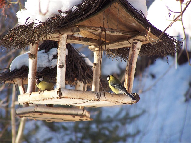 Hostina...