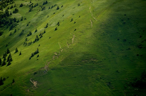 Chodník na Ploskú (Veľká Fatra)