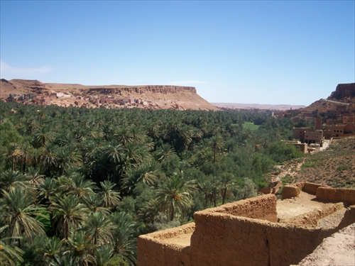 Gorges du Todra - palmove plantaze