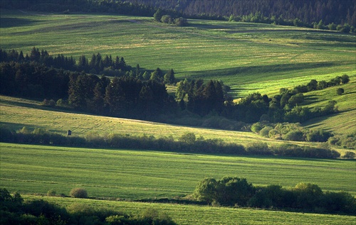 podvečerné polia