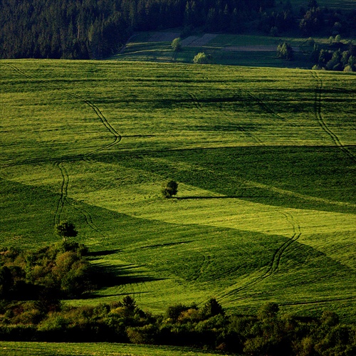 podvečerné polia 2