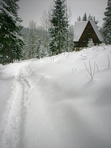 zasnežená 2