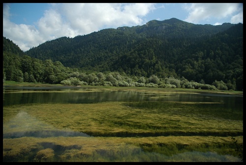 NP Biogradska Gora - bukový prales