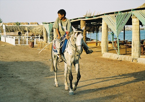 dahab