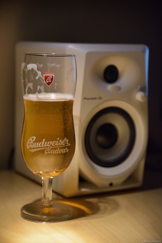 budvar & pioneer