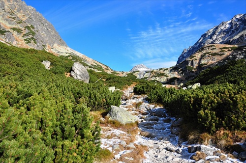 Tatry - Mlynická dolina 2.