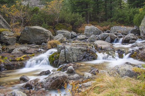 Tatry - Malá Studená dolina III.